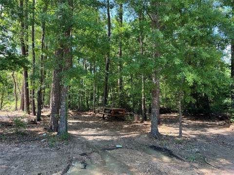 Photo of 0 Three South ST, Splendora, TX 77372 (MLS # 80882555)