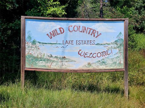Photo of TBD Kitty Wells Road, Livingston, TX 77351 (MLS # 4089834)