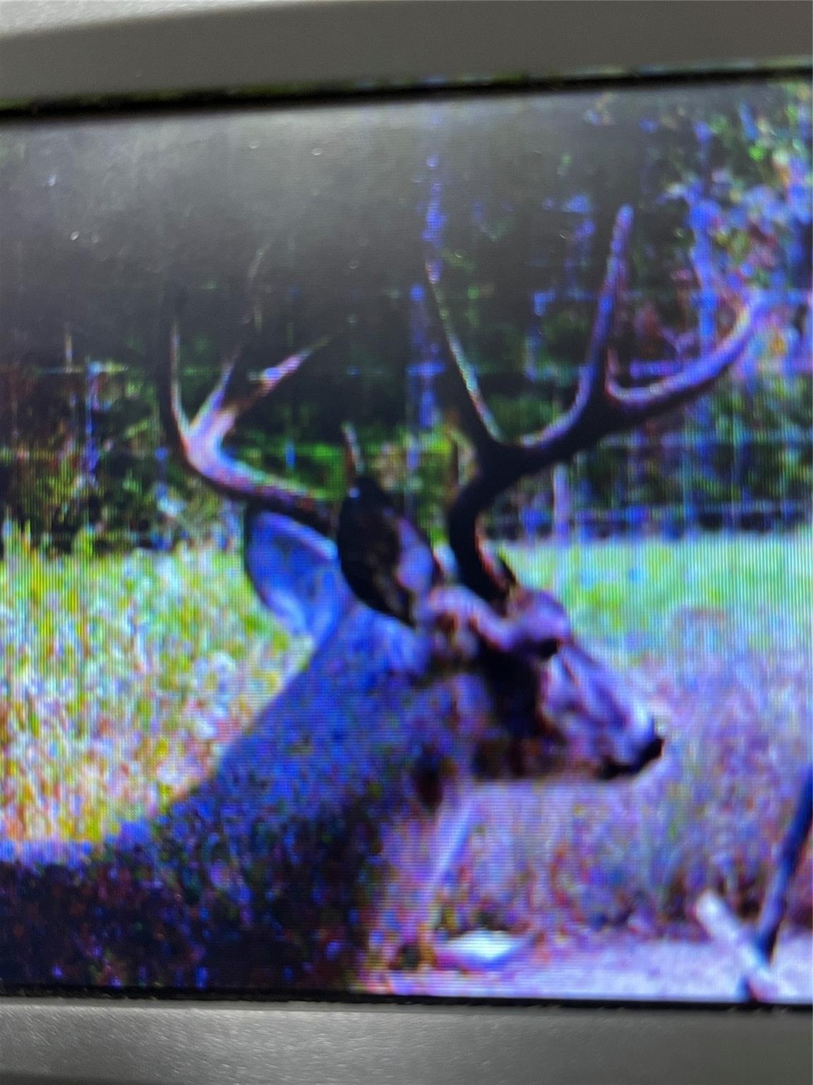 TBD County Road 482