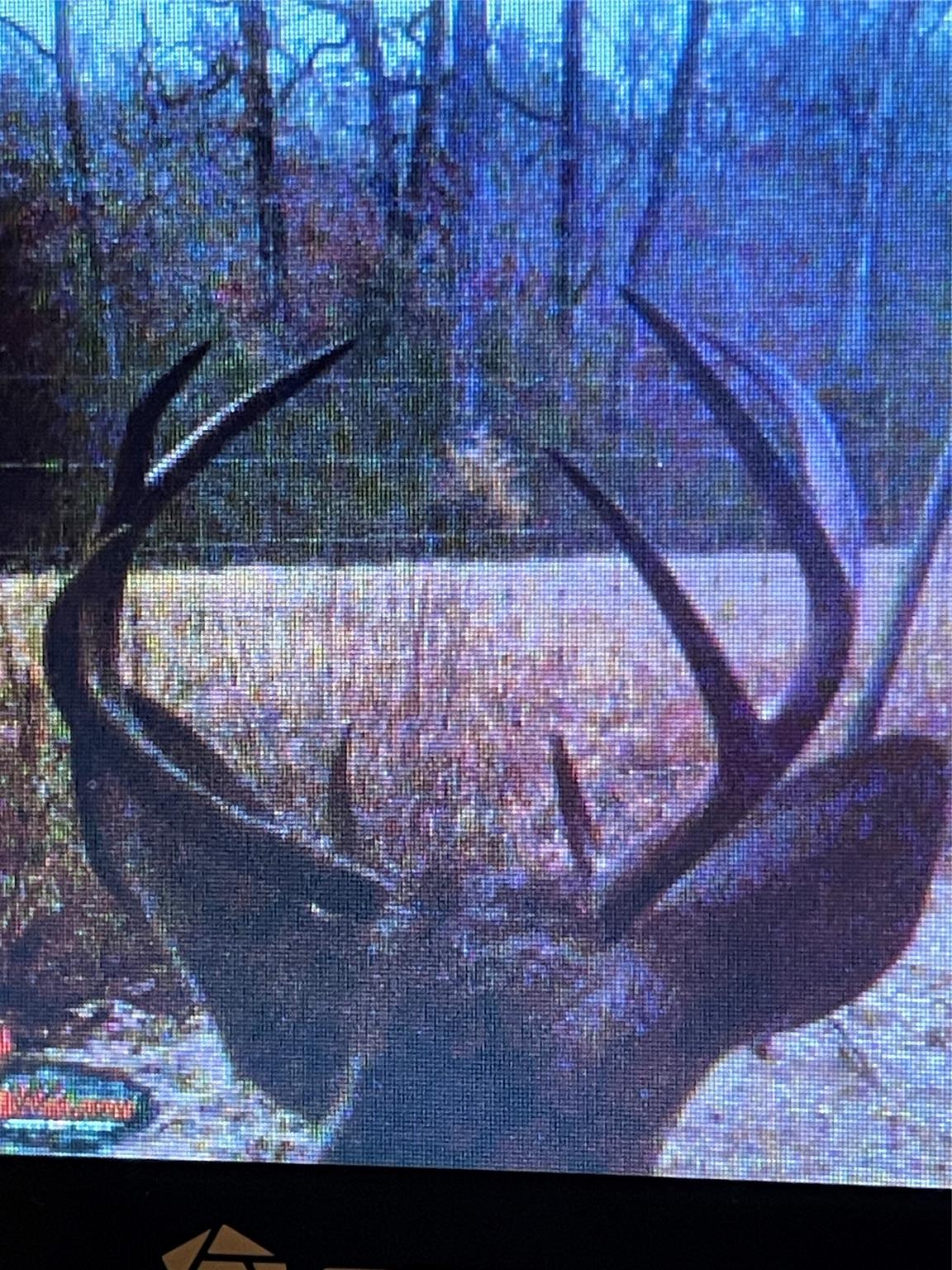 TBD County Road 482