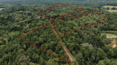 Vacant Land For Sale - Fm-319<br/> Elkhart, TX 75839