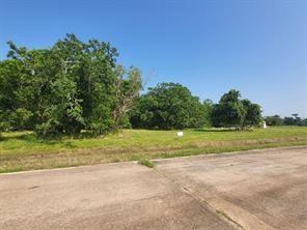 Photo of 71 Conestoga Trl, Angleton, TX 77515 (MLS # 54144261)