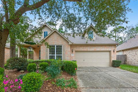 6 Coachman Ridge Place Spring TX 77382