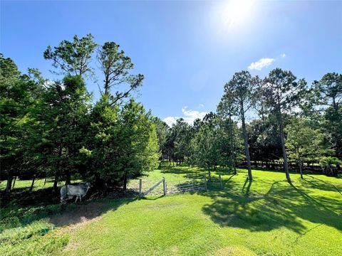 Photo of 0 County Road 540, Alvin, TX 77511 (MLS # 75296407)