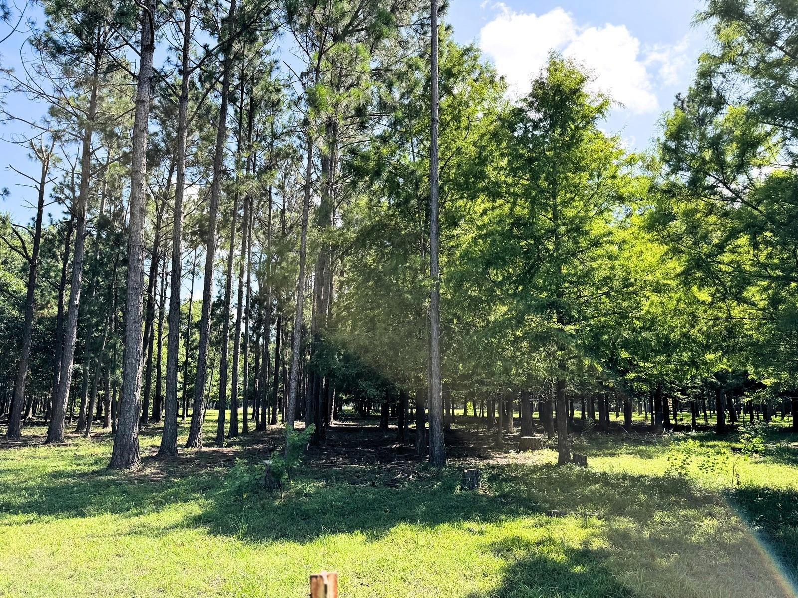 00000 County Road 540