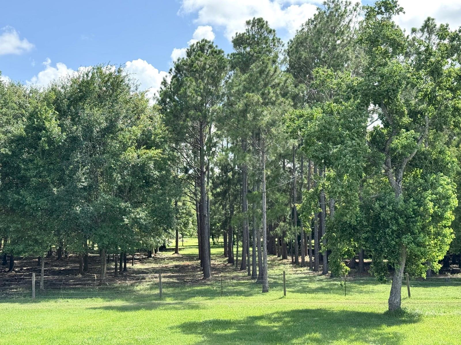 00000 County Road 540