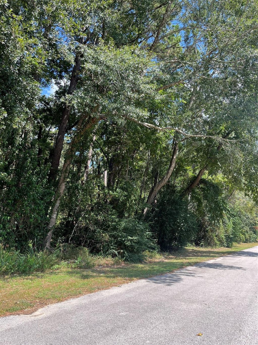 Photo of 1611 Athens Dr Dr, Roman Forest, TX 77357 (MLS # 43882824)