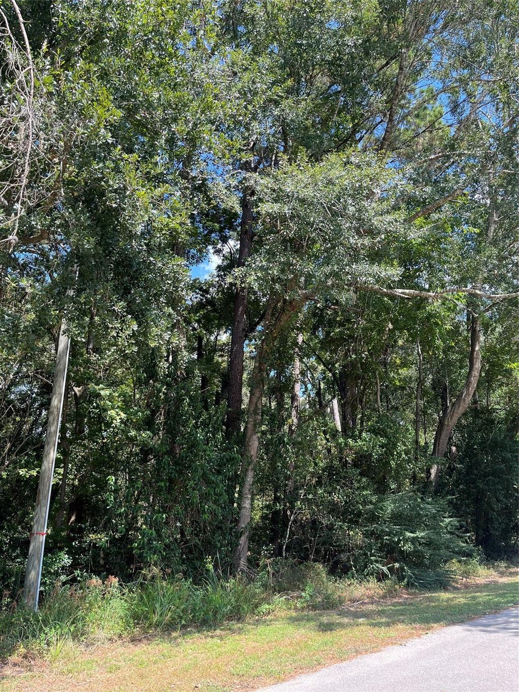 Photo of 1611 Athens Dr Dr, Roman Forest, TX 77357 (MLS # 43882824)