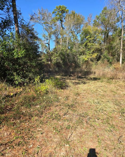 Vacant Land For Sale - 10287 Wanda Lane Ln<br/> Montgomery, TX 77316