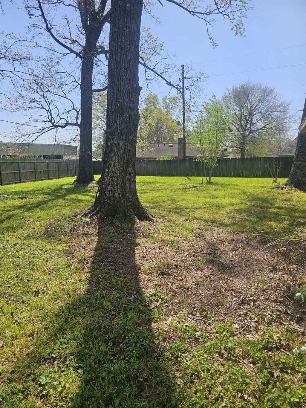 Photo of 24606 Green Moss Drive, Houston, TX 77336 (MLS # 45979646)