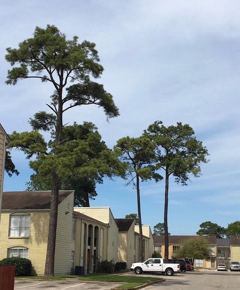 Photo of 6200 W W Tidwell Road #806, Houston, TX 77092 (MLS # 18714966)