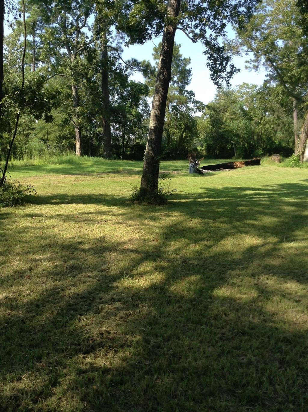 Photo of 26340 Blackberry Lane Ln, New Caney, TX 77357 (MLS # 67797960)