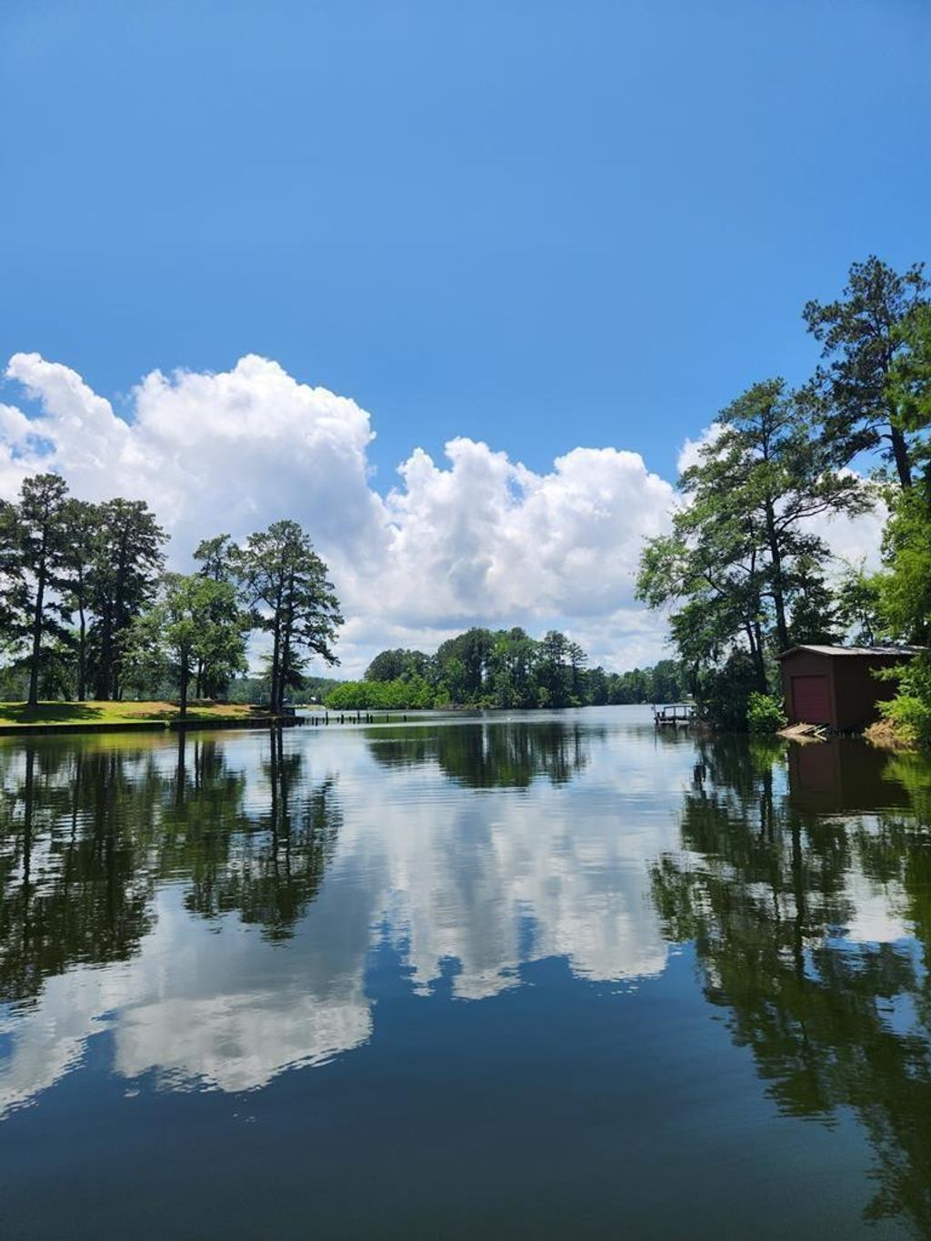 Photo of 719 Hickory Hill Drive, Burkeville, TX 75932 (MLS # 11273763)