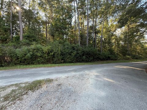 Photo of 0 Overstreet Loop, Kountze, TX 77625 (MLS # 95536799)