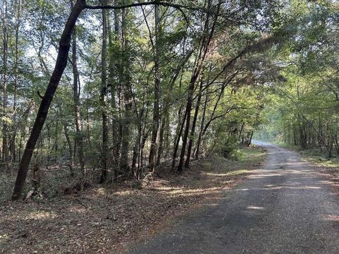 Vacant Land For Sale - 1229 Spraglin Road<br/> Morris County, Pittsburg, TX 75686