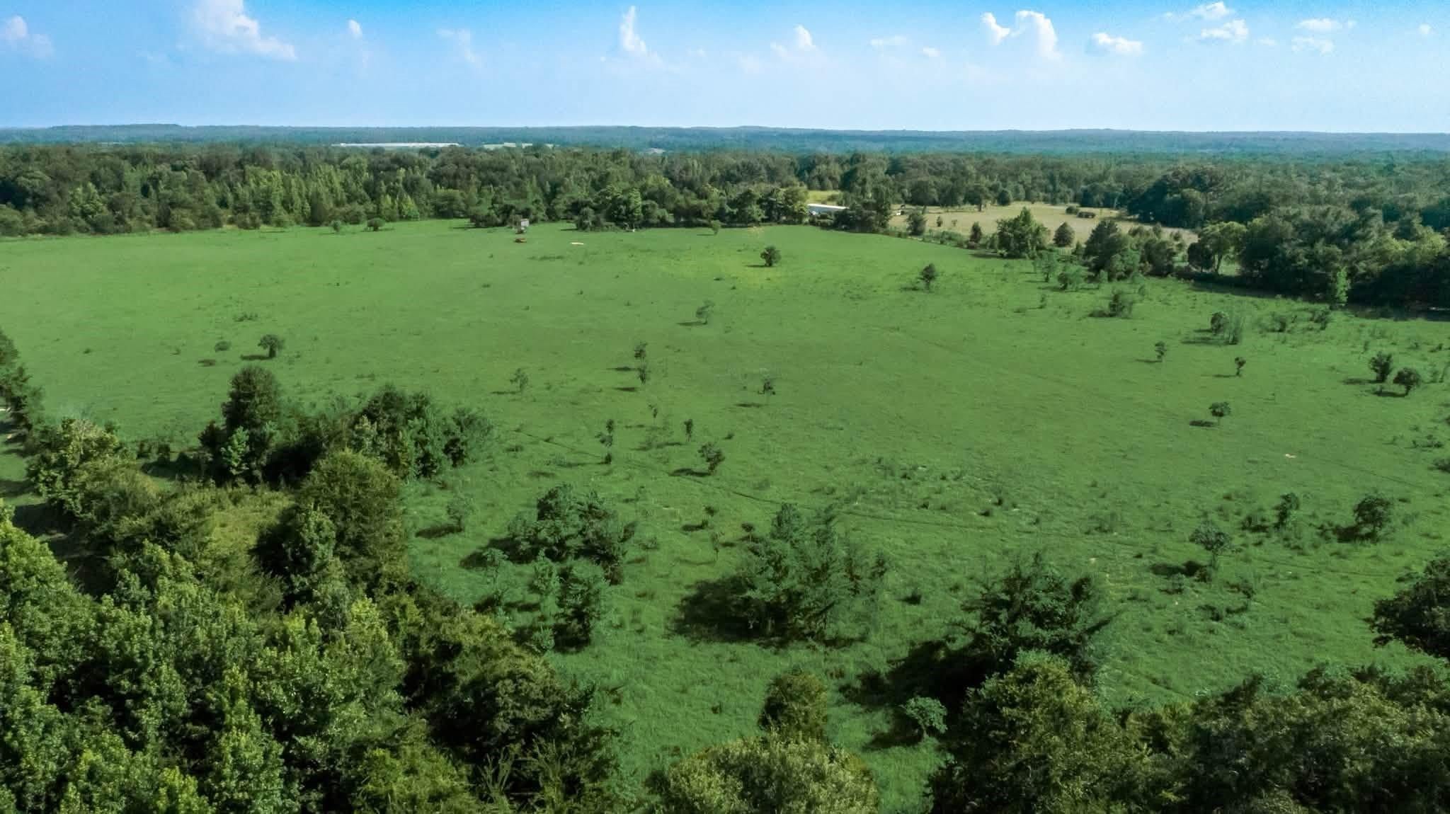 351 County Road 351