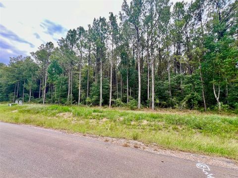 Vacant Land For Sale - 1884 Road 66116<br/> Dayton, TX 77535