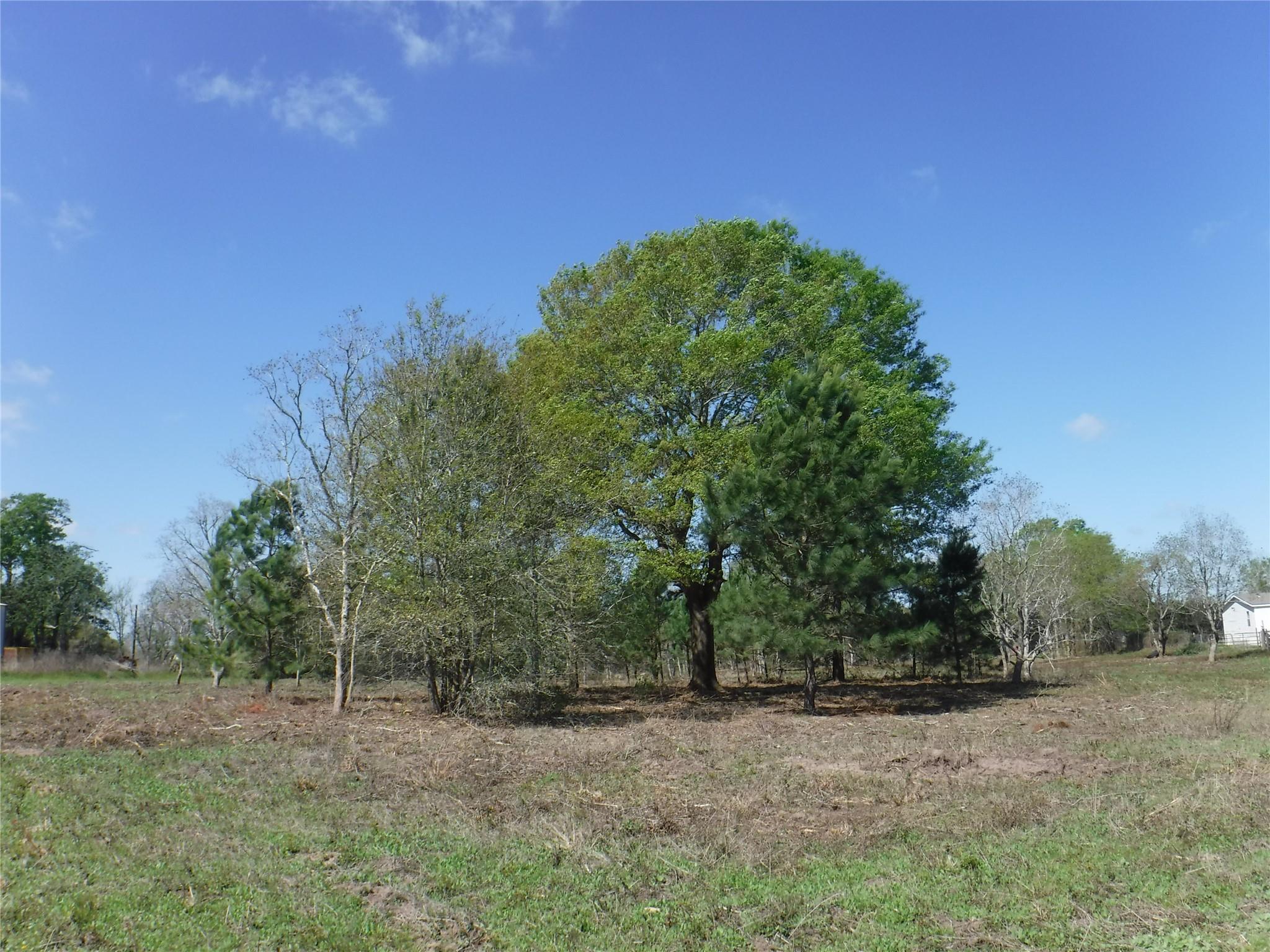 1350 Peters San Felipe Road