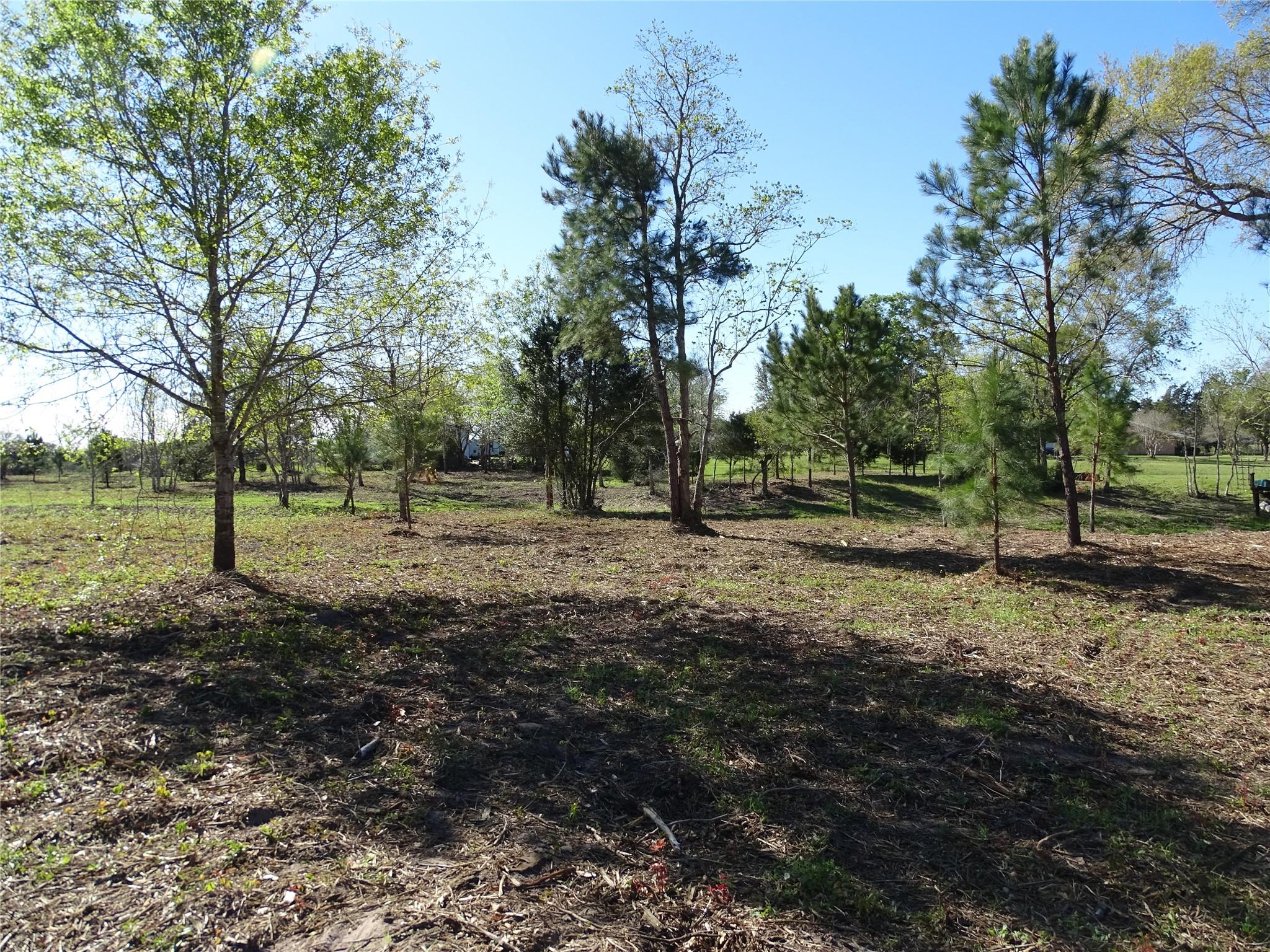 1350 Peters San Felipe Road