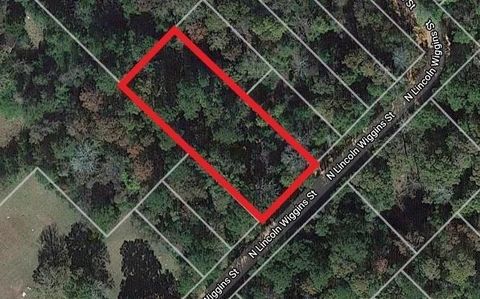 Photo of 0 N Lincoln Wiggins Street, Livingston, TX 77351 (MLS # 39669665)