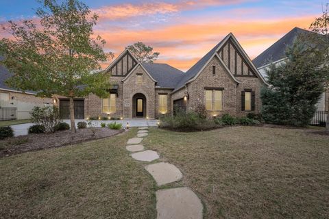 10581 Lake Palmetto Drive Conroe TX 77385