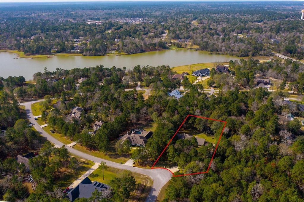 Photo of 317 Ridgelake Scenic Drive, Montgomery, TX 77316 (MLS # 79611205)