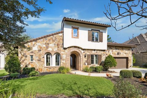 10 Marin Creek Place Spring TX 77389