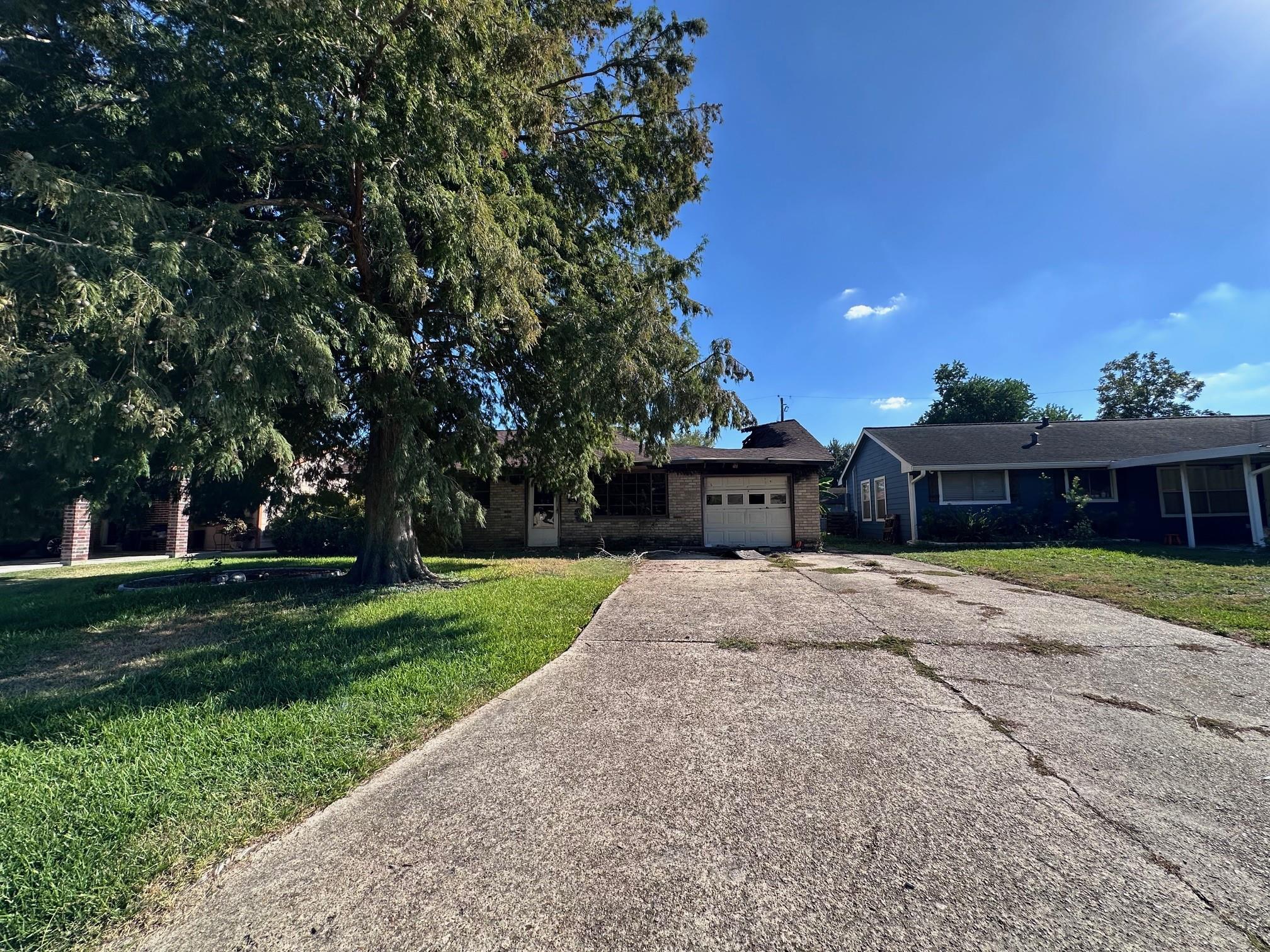 11510 Tilia Street