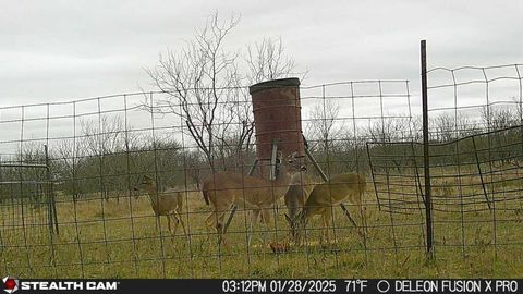 Photo of 851 Cr 450, De Leon, TX 76444 (MLS # 67469557)