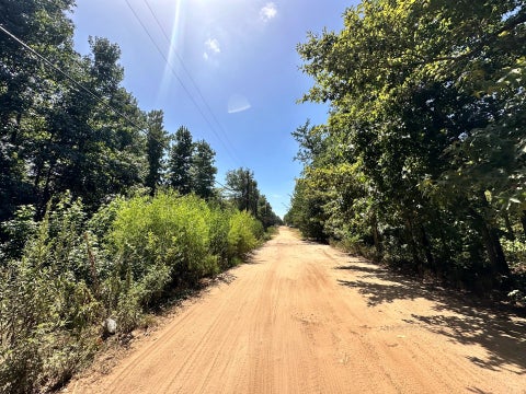 Photo of 669 Dogwood Trail, Mineola, TX 75773 (MLS # 9459315)