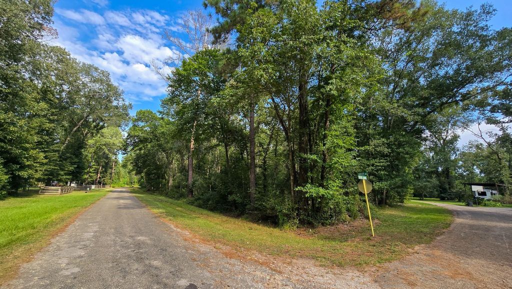 Photo of 1 Cherry Laurel Ln, New Caney, TX 77357 (MLS # 80225254)