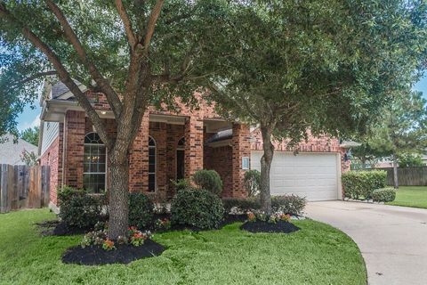 Photo of 5131 Birch Manor Lane, Katy, TX 77494 (MLS # 82827864)