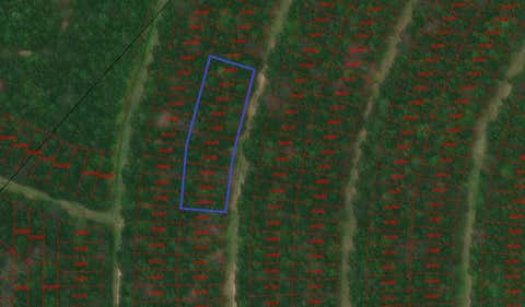 Vacant Land For Sale - TBD Wood Forest<br/> Polk County, Livingston, TX 77351