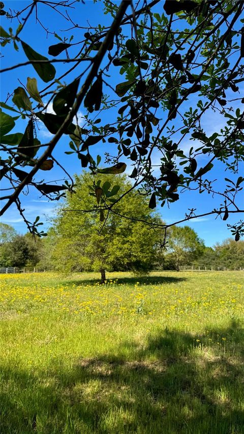Photo of 0 Meadow Creek Road, Hockley, TX 77447 (MLS # 39404302)