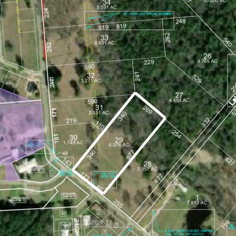 Vacant Land For Sale - LOT 29 Lake Livingston Lane<br/> Trinity, TX 75862