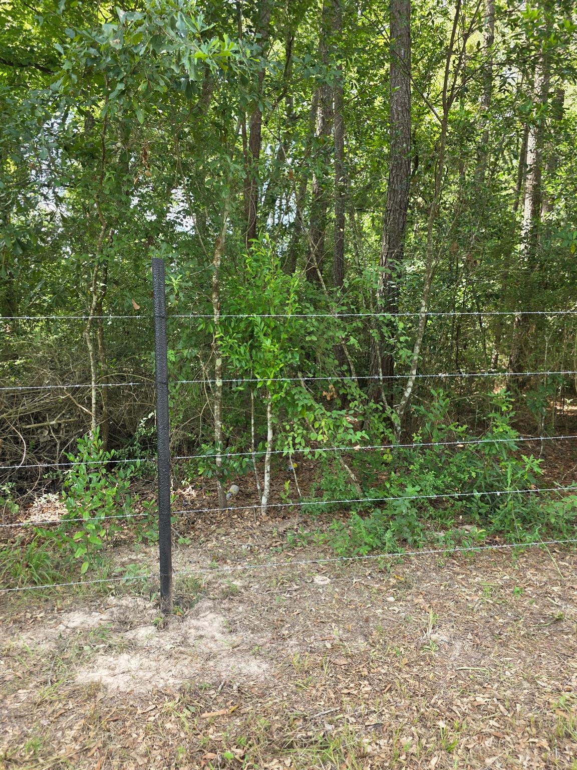 15636 Woodman Road
