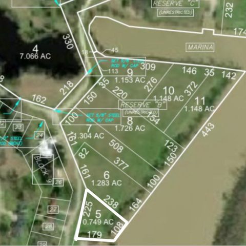 Vacant Land For Sale - LOT 5 Lake Livingston Lane<br/> Trinity, TX 75862