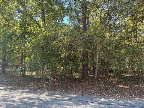 Photo of 176 N Fairway Loop, Coldspring, TX 77331 (MLS # 17114134)