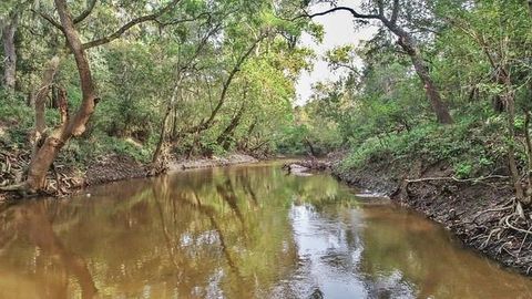 Photo of 2698 County Road Edna, Edna, TX 77957 (MLS # 14028605)