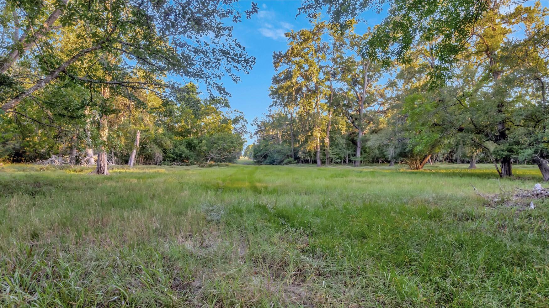 2698 County Road 284