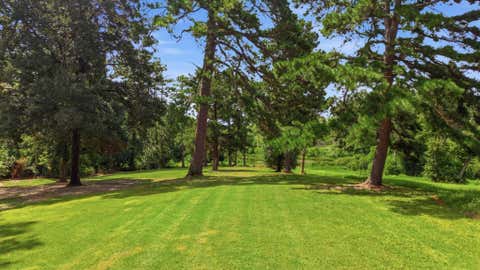 Tiny photo for 813 El Camino Drive, Grapeland, TX 75844 (MLS # 70390418)