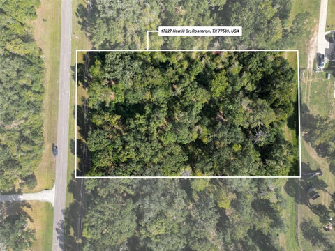 Photo of 17227 Hamill Drive, Rosharon, TX 77583 (MLS # 84876587)