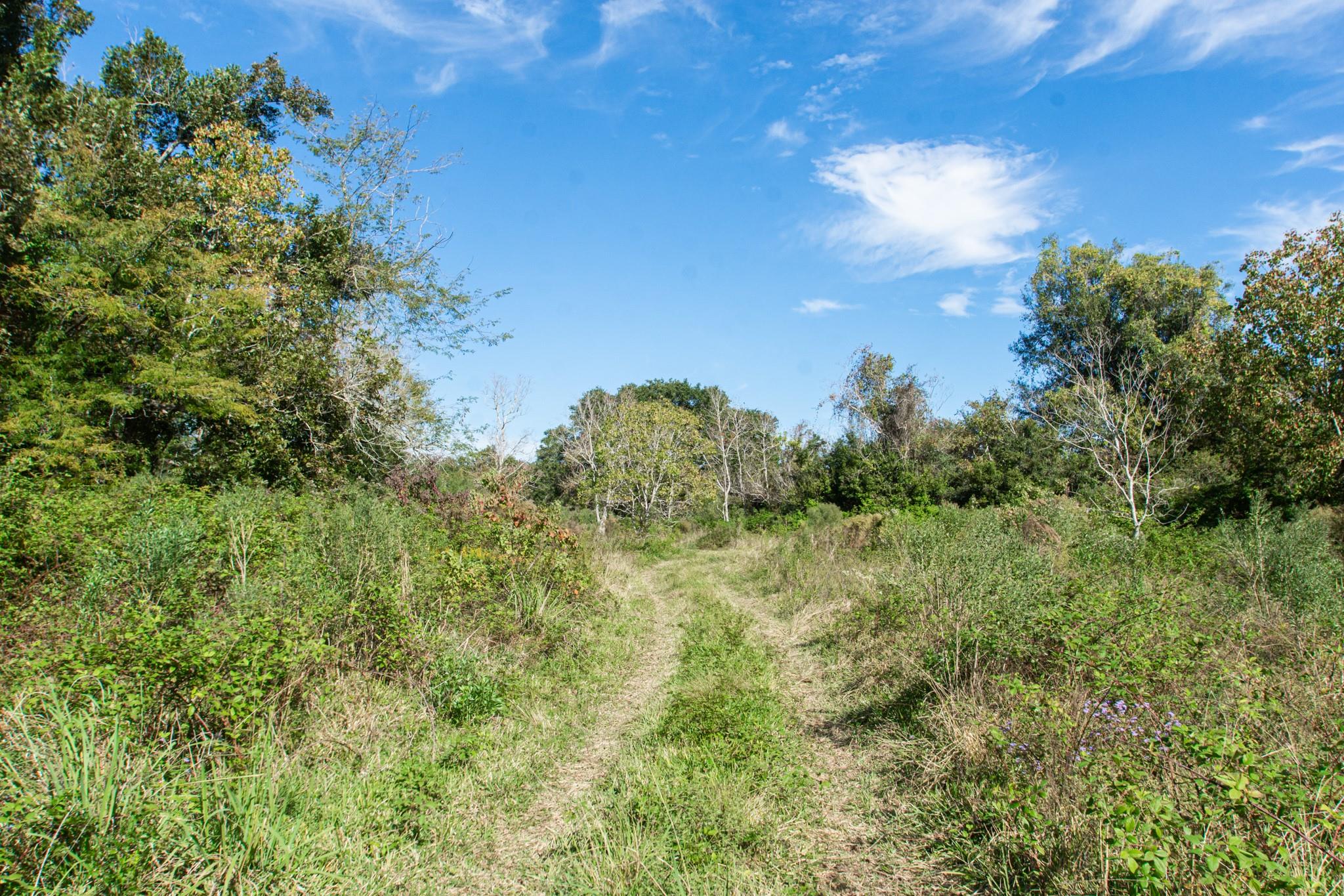 TBD Highway 36