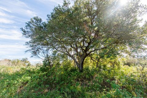 Photo of TBD Highway 36 RD, Jones Creek, TX 77541 (MLS # 41984235)