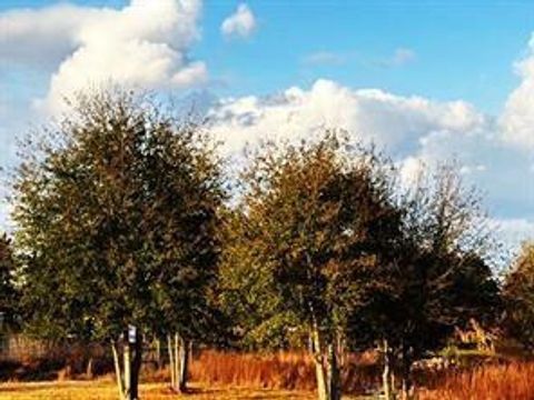 Tiny photo for TBD 663 Road 5252, Cleveland, TX 77327 (MLS # 73171130)