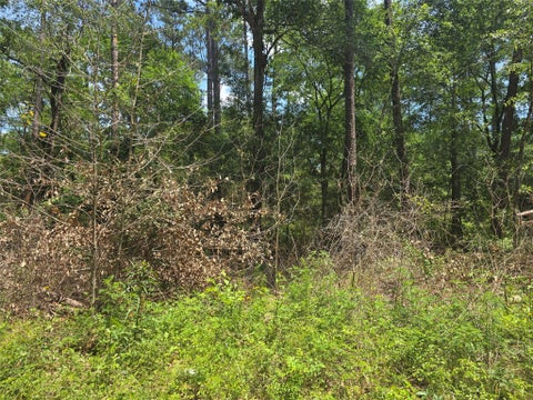 Vacant Land For Sale - 12949 Cedar Tree Court<br/> Plantersville, TX 77363