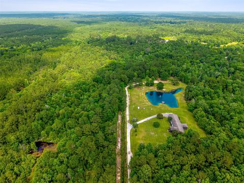 Photo of 2748 Spike Buck Lane, Kountze, TX 77625 (MLS # 72645944)