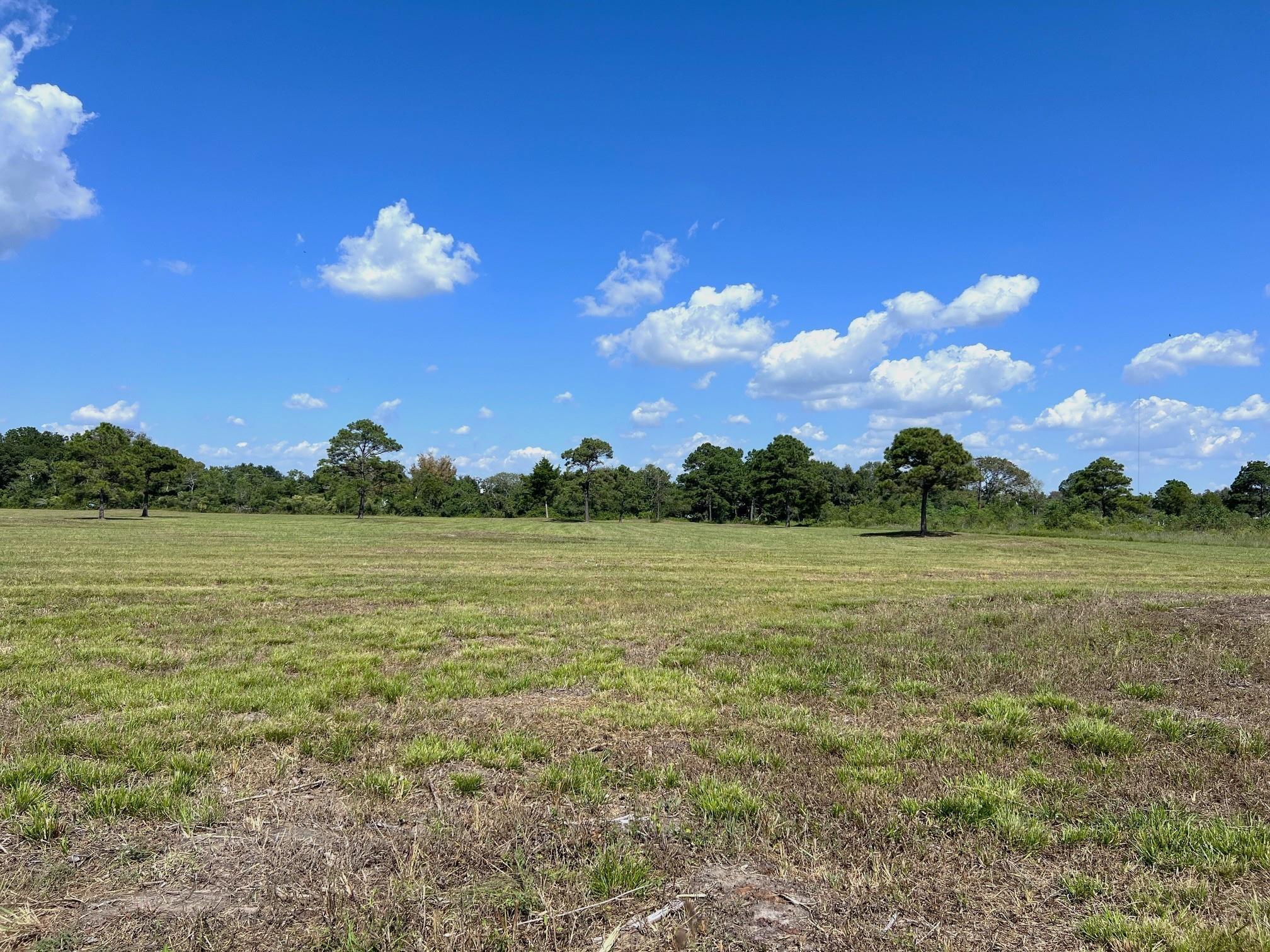 00000 County Road 203