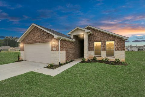 Homes For Sale - 10220 Cabo Del Sol Drive<br/> Cleveland, TX 77327