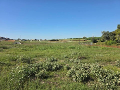 Photo of 1323 Boehnke Pass, Brenham, TX 77833 (MLS # 62383173)